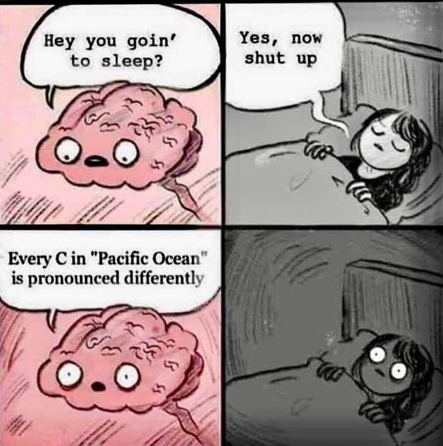 1677678262928.jpeg