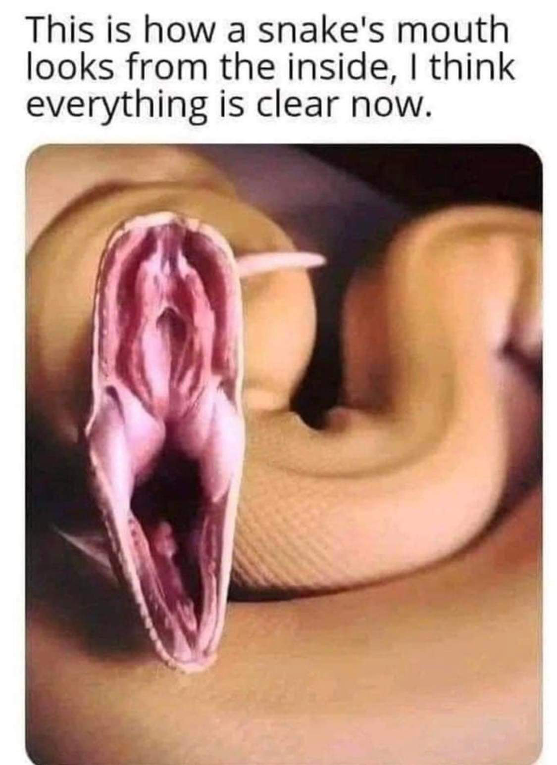 1677811821591.png