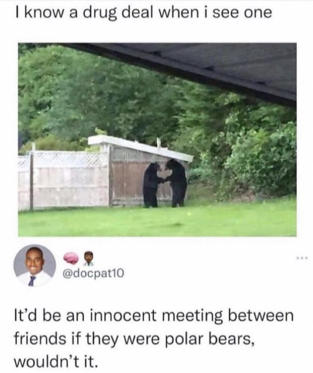 1677862995489.png
