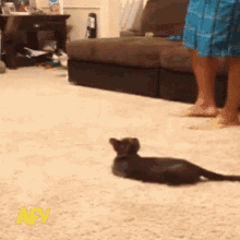 1677953729327.gif