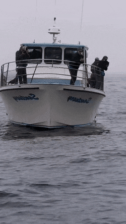 1678104695_10.gif