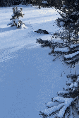 1678104741_14.gif