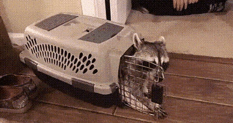1678358694_5.gif