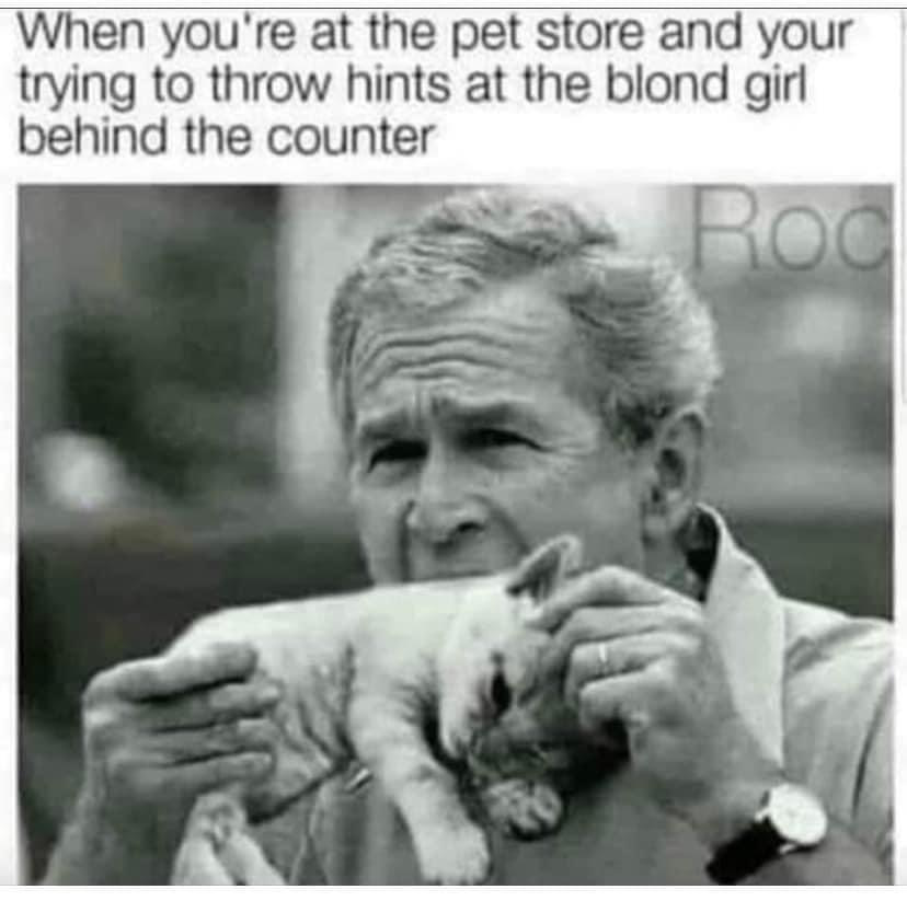 1678555087839.png