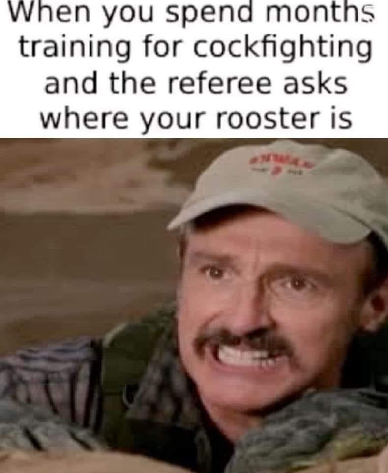 1678629930353.png