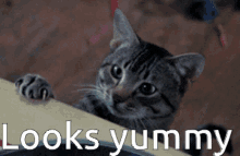 1678737974317.gif