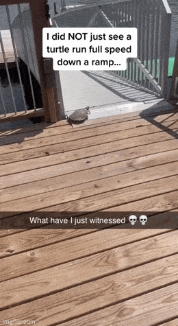 1678889955_6.gif