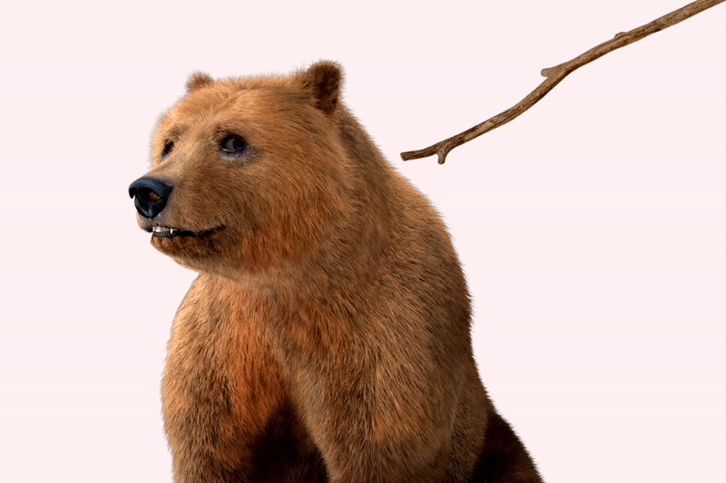 1678977525450.gif