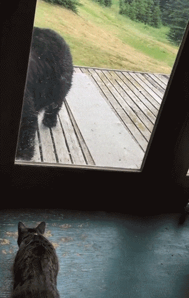 1679493285_22.gif