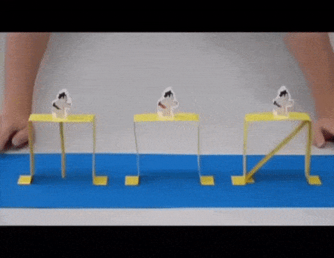 1679493307_2.gif