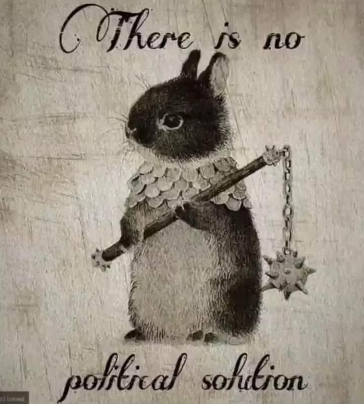 1679517164349.jpeg