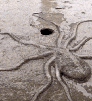 1679669703_13.gif