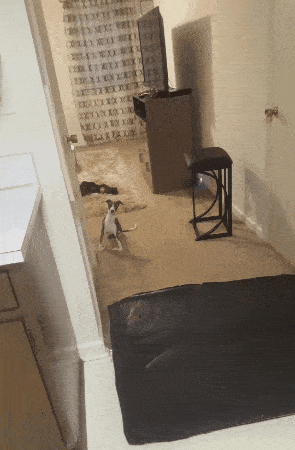 1679669718_21.gif