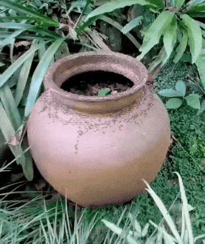 1679669728_10.gif