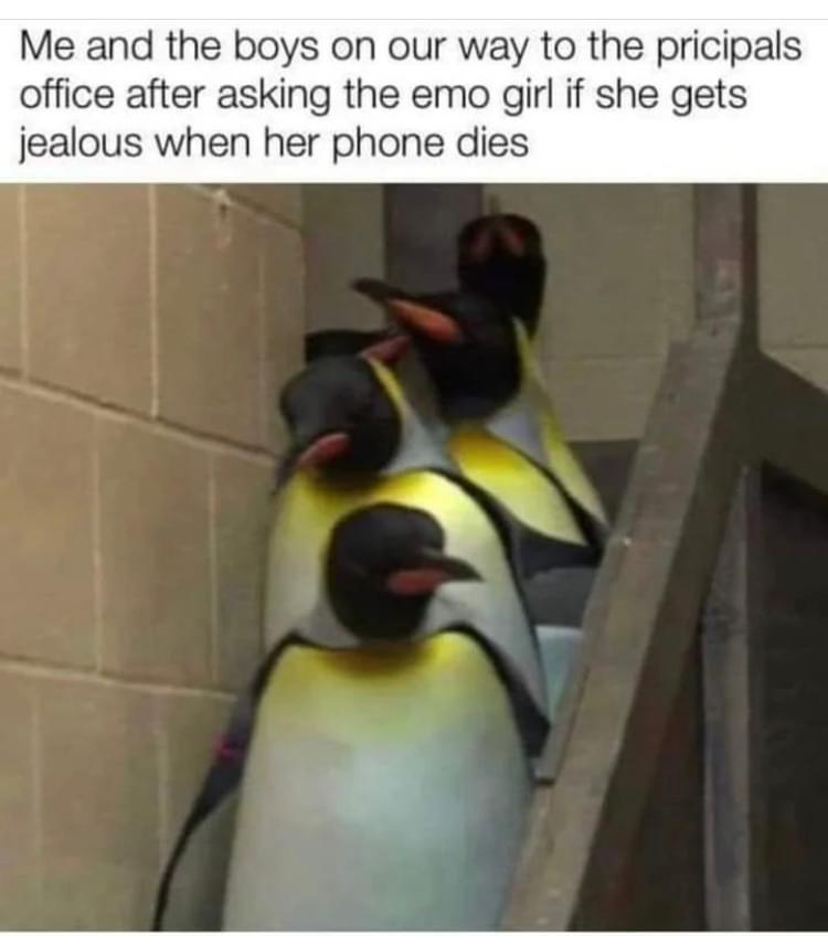 1679806510499.png
