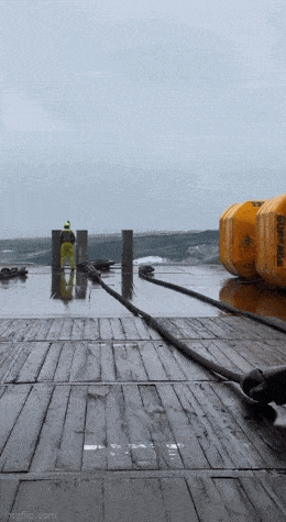 1679920732_7.gif