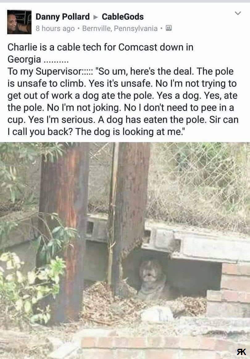 1680039905866.jpeg
