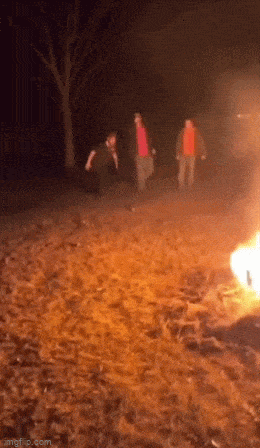 1680097161_15.gif