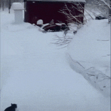1680188809_6.gif