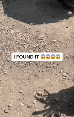 1680288009_1.gif