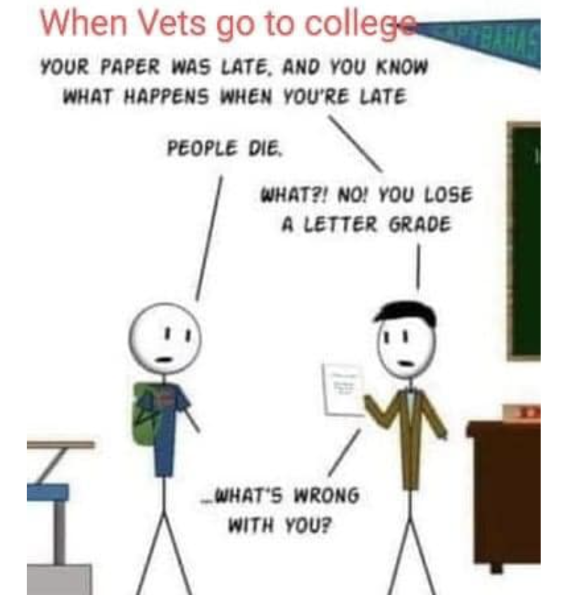 1680292338088.png