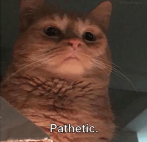 1680317303017.jpeg
