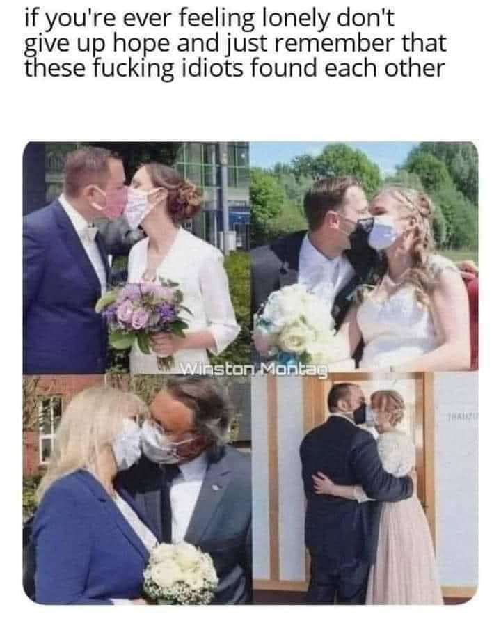 1680736953797.png