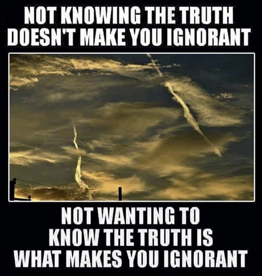 1680886078152.png