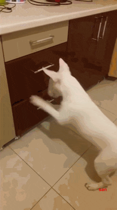 1681051251_16.gif