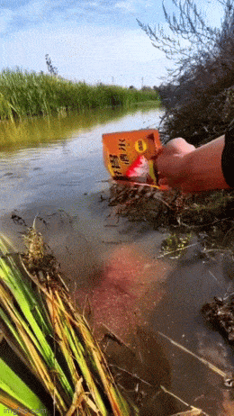 1681144120_8.gif