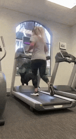 1681236472_6.gif