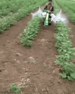 1681236503_25.gif