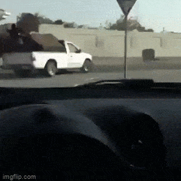 1681236550_5.gif