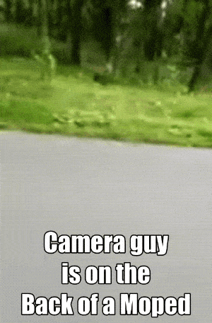 1681326030_18.gif