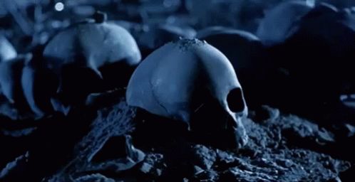 1681736701053.gif