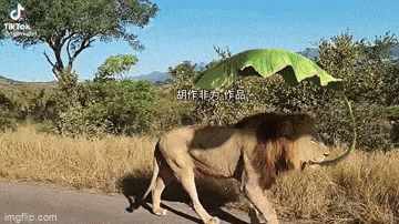 1681762470_2.gif