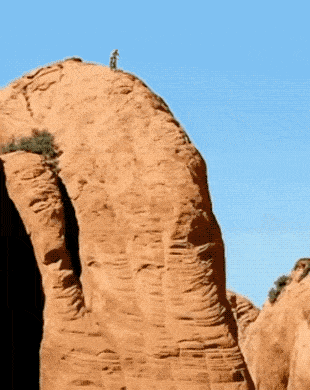 1681762482_16.gif