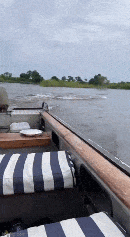 1681783246_10.gif