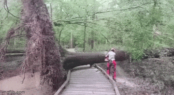 1681783252_25.gif