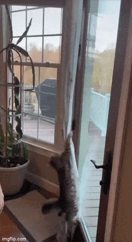 1681783288_8.gif