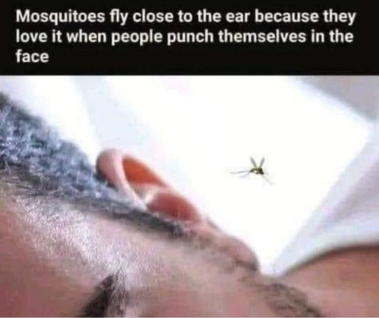 1681932075149.png