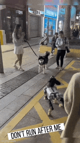 1682221282_00.gif