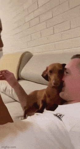1682399037_10.gif