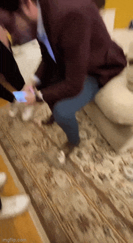 1682399042_6.gif