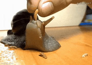 1682399047_14.gif
