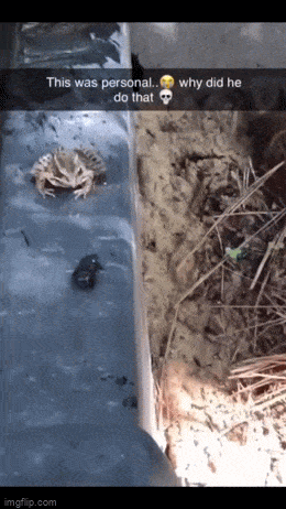 1682399079_12.gif
