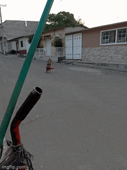 1682399092_20.gif