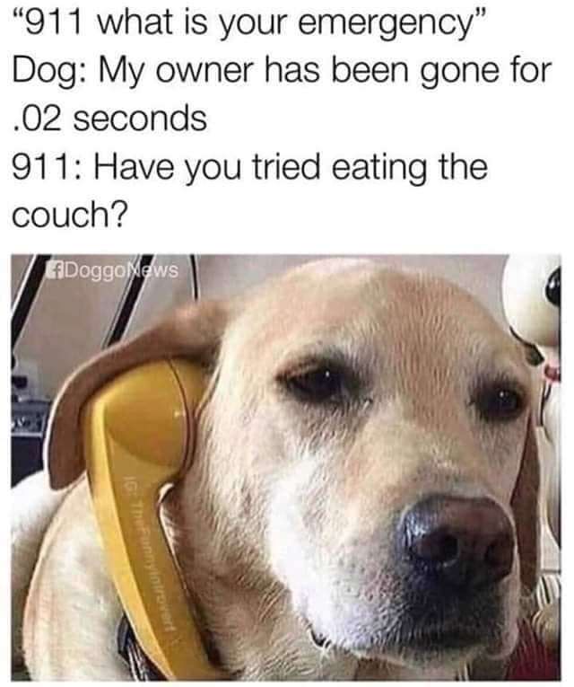 1682427814281.jpeg