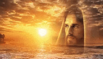 1682540794918.gif