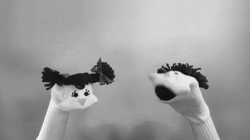 1682617259347.gif